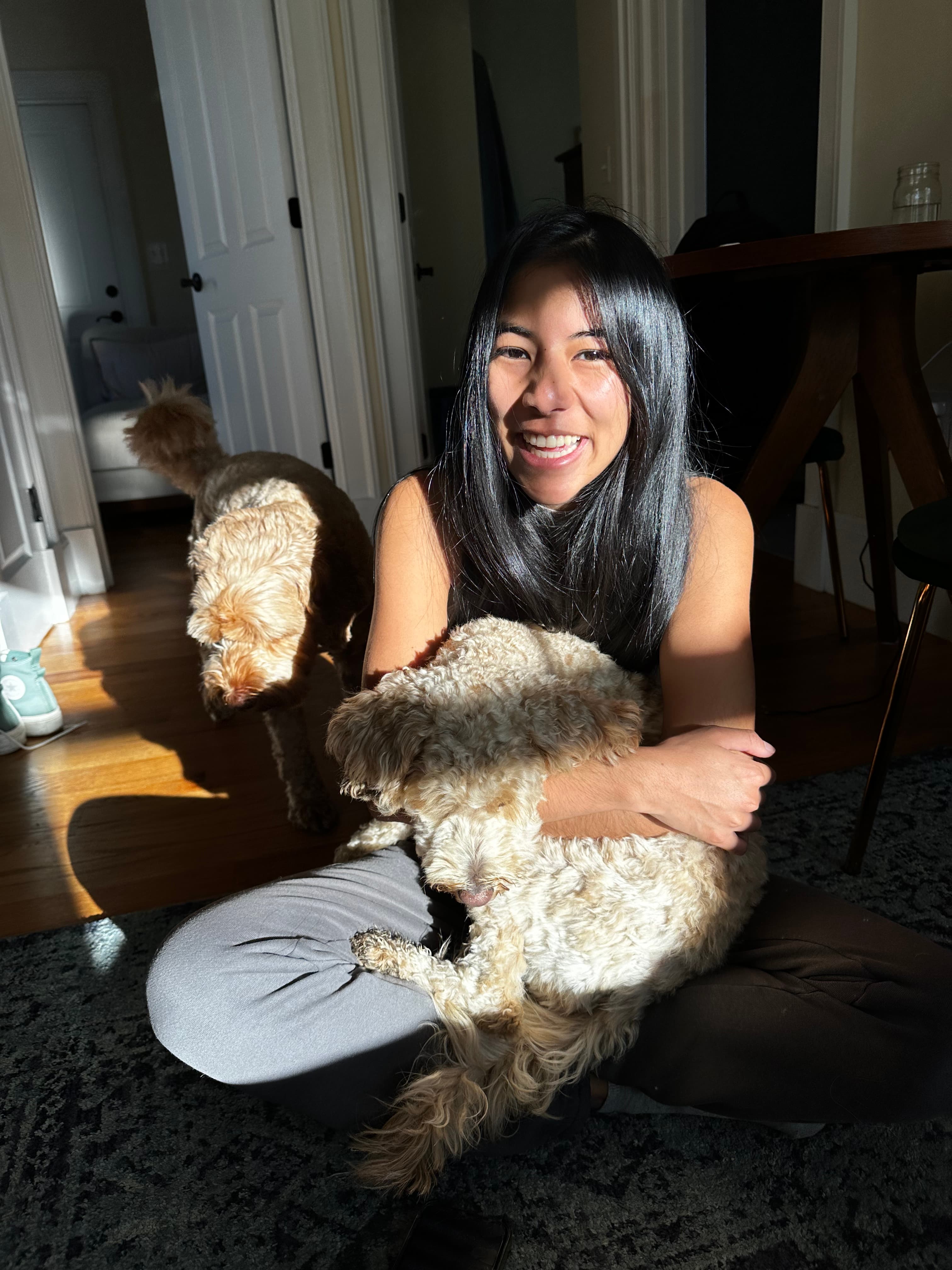 Happy pets